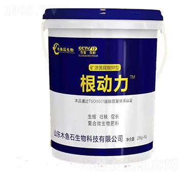 Ͱ�b�VԴ�S�������-������-ľ�~ʯ����