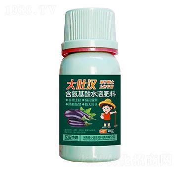 茄子膨大上色專用含氨基酸水溶肥料-大肚漢-億田小匠