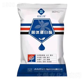 ���w����ø-��������