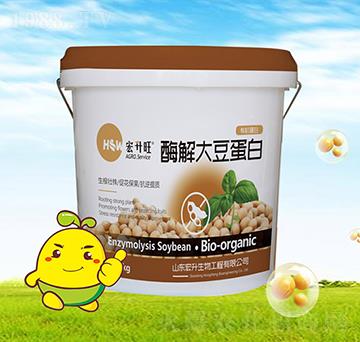 ø��󶹵���-��������