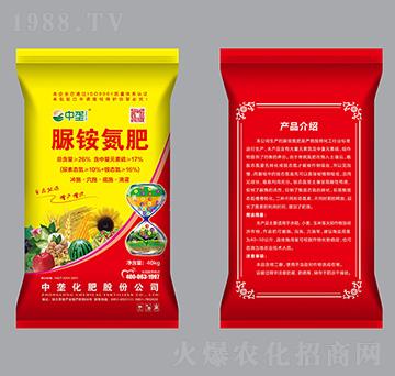 ���@����-�Љ�