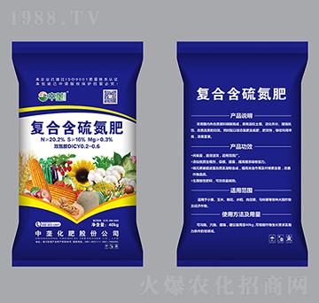 �ͺϺ��򵪷ʣ��{����-�Љ�