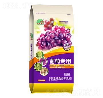 ���ь�(zhu��n)���������-ϣ�ǷʘI(y��)