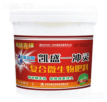 �ͺ�΢�������-�Pʢһ