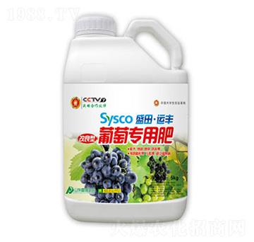 ���������ь��÷�-ʢ������