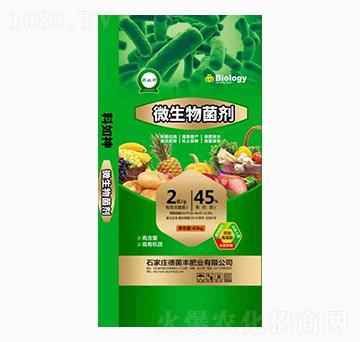 40kg΢�������-�¾��S�ʘI(y��)