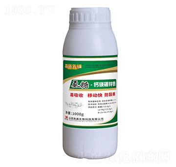 ���ǡ��}�V���\�F-̽·