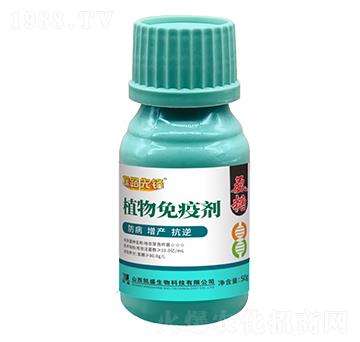 ���ǡ�ֲ�����߄�-̽·���h-�Pʢ�ʘI(y��)