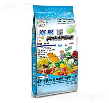 ����΢�������-��׿����