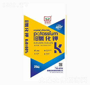 ���w�Ȼ��-��ؼ�