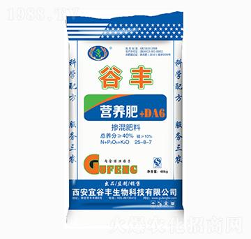 �������25-8-7-���S-�ƜB�r�I(y��)