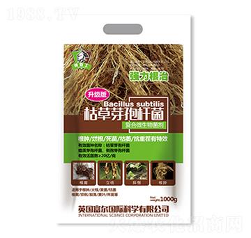 �ݲ�ѿ�ߗU��������(j��)�棩-�����Ƽ�