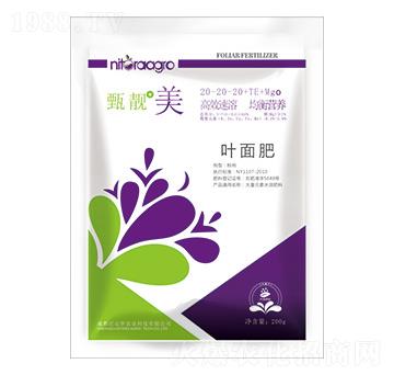 ����Ԫ��ˮ�ܷ�20-20-20+TE+MgO-���n��-���_(d��)�_