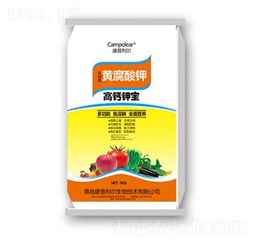 �S����⛸��}⛌�-��������