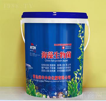 ���������-��(r��n)�S���r(n��ng)