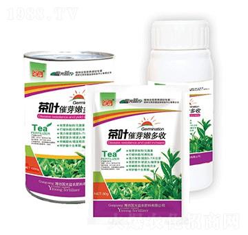 ���~��ѿ�۶��սM��-�������r(n��ng)