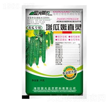 �S��������ֱ�`-��(gu��)�����r(n��ng)