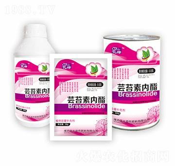 �|̦�؃�(n��i)���M��-�������r(n��ng)