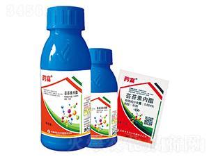 �|̦�؃�(n��i)֬-�縻-�S���ʘI(y��)