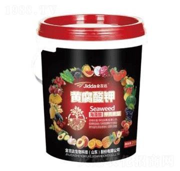 �S����⛣�Ͱ��-���_