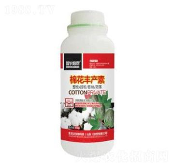 �޻��S�a(ch��n)��-���_(d��)