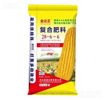 �ͺϷ���28-6-6-������-�ߺ�����