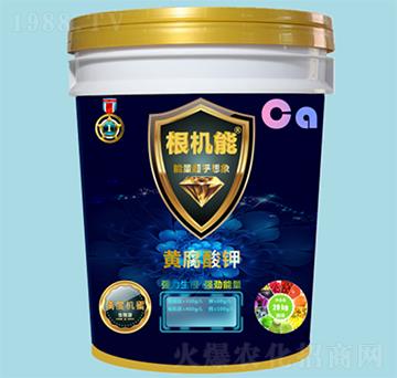 �S�����-���C�ܣ�Ͱ��-��������