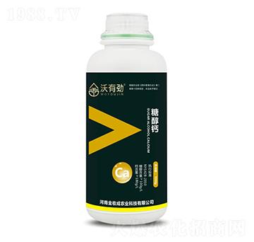 �Ǵ��}-���Є�-���ճ�