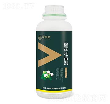 �޻����焩-���Є�-���ճ�