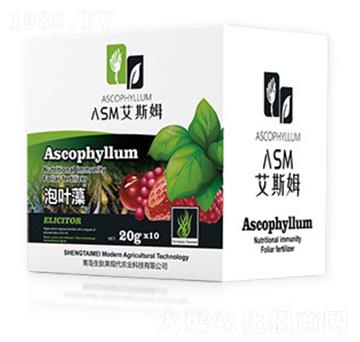 ���~��-��˹ķ-������