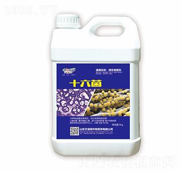 ʮ����-���Z��