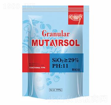 �w����-��֮���r(n��ng)�I(y��)