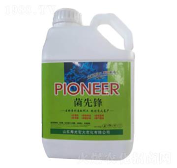 �����h-�ն���