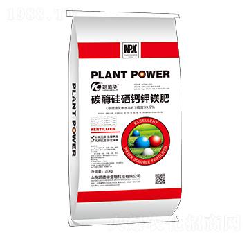 ̼ø�����}��V��-�P���A