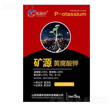 �VԴ�S�����-�P���A