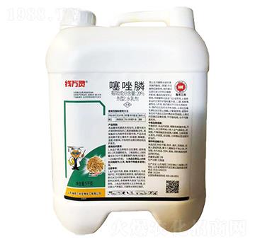 20%�����-���f(w��n)�`-��������