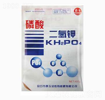 ��������-̩��ʘI(y��)