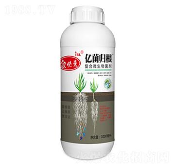 �ͺ�΢�������-��؁�|���w��-�����