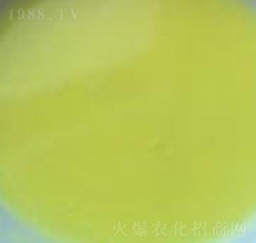 �Ҹ�Һ-�����r�I(y��)