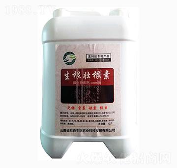 �����Ѹ���-����Ԋ