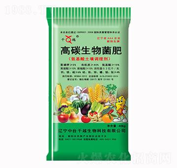 ��̼�������-ǧԽ