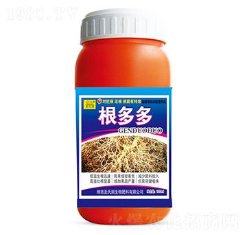 �����-ʥ�ϝ�