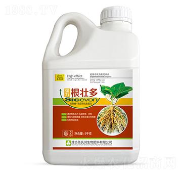 ���Ѷ�-ʥ�ϝ�