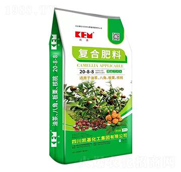 ��(f��)�Ϸ���20-8-8-�P��