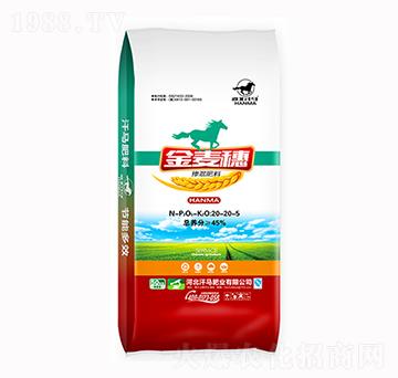 �������20-20-5-������-���R�ʘI(y��)