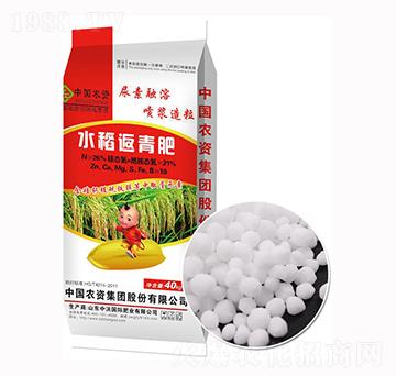 ˮ�������-����