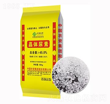 ���w����-����