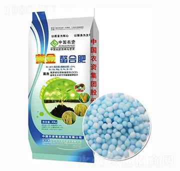 40kg�S�����Ϸ�-����