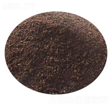 ������ЙC(j��)��-��ʢ�ʘI(y��)