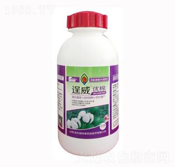 ��������~���-������(y��u)��-�ۿ�̩